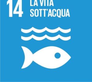Progetto "BLUE COAST AGREEMENTS 2030"