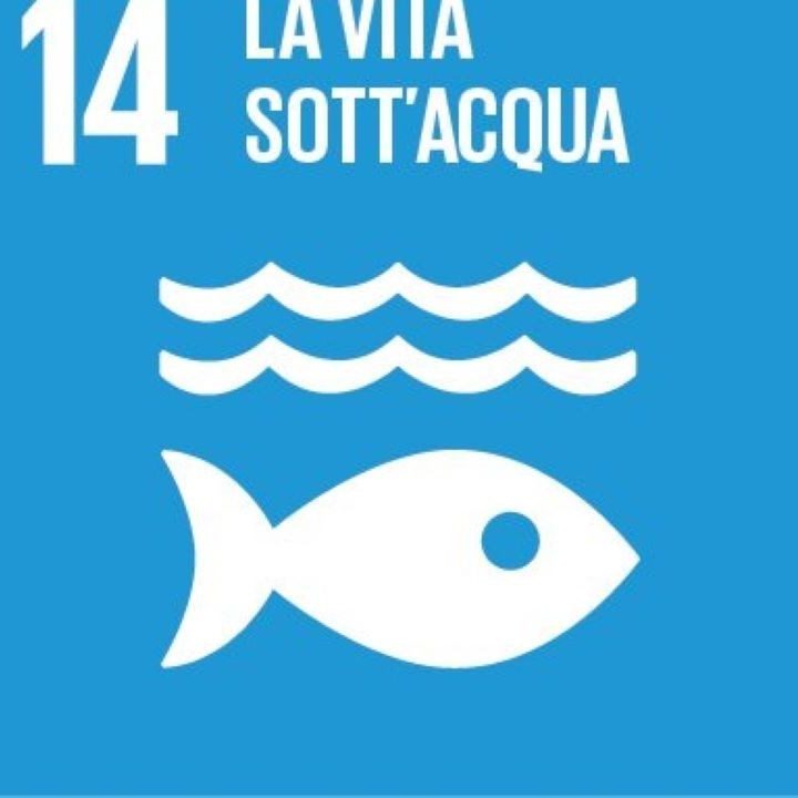 2030 obiettivo 14