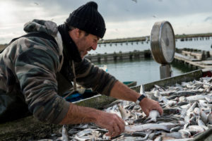 Bando Azione 3.A1. “Sostegno ad iniziative di pescaturismo, ittiturismo, acquiturismo e attività connesse"