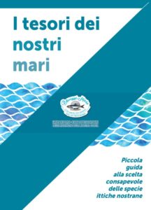 P-Assaggi di Mare - Materiali