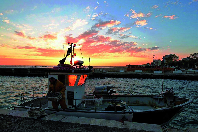 P-Assaggi di Mare: Impariamo con i pescatori della Marineria di Bellaria-Igea Marina