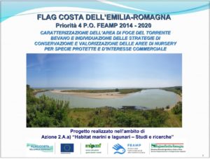 Caratterizzazione dell'area di Foce Bevano - Conservazione e valorizzazione delle aree nursery
