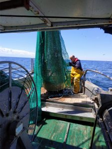 Fondazione Cetacea Onlus: Una rete salva pesca