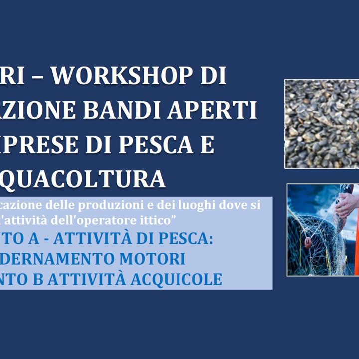 IMMAGINE NEWS SITO
