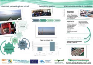 Approvvigionamento di novellame di molluschi bivalvi da destinare all'allevamento