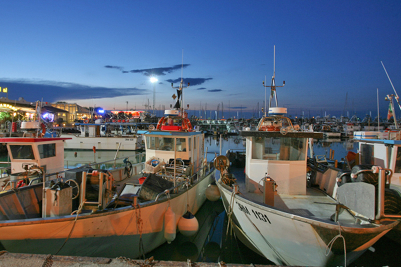 P-Assaggi di Mare: Impariamo con i pescatori della Marineria di Cattolica