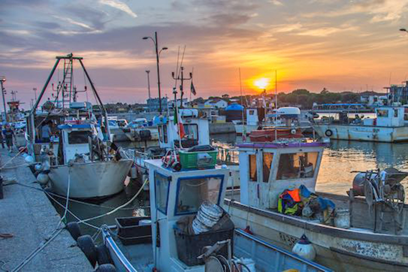 P-Assaggi di Mare: Impariamo con i pescatori della Marineria di Ravenna