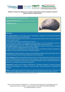 Approvvigionamento di novellame di molluschi bivalvi da destinare all'allevamento