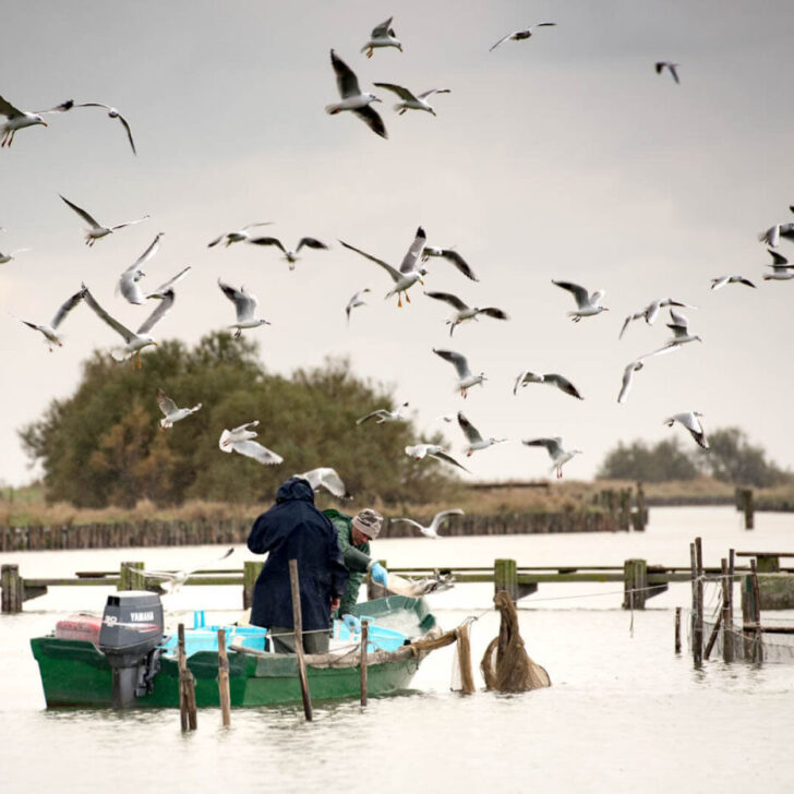 Pescainvalle@DeltaPo2016_Stanislai2