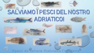 I Vincitori del Concorso IMPARIAMO CON I PESCATORI