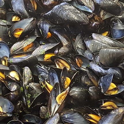 cozze