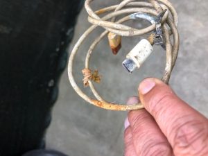 F.C.R.M.: Litter-A-mare