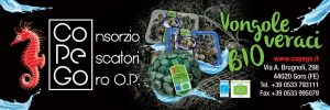 COPEGO - Certificazione bio per la vongola verace
