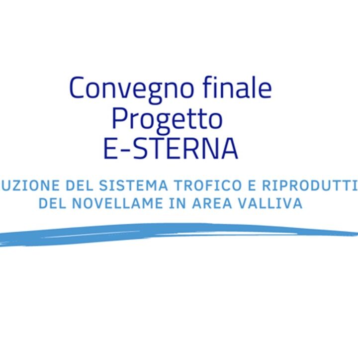 front image convegno esterna 29052023