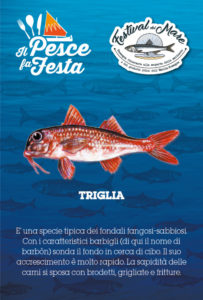 Festival del Mare - Il Pesce fa Festa