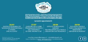 P-Assaggi di Mare - Materiali