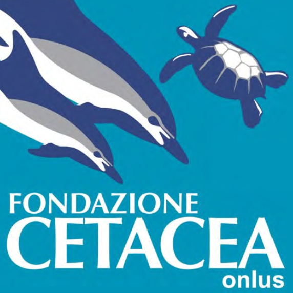 logo fondazione cetacea