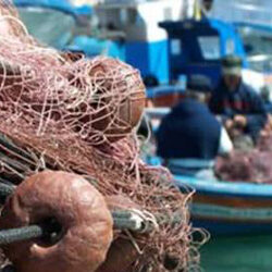 pesca-rimini1