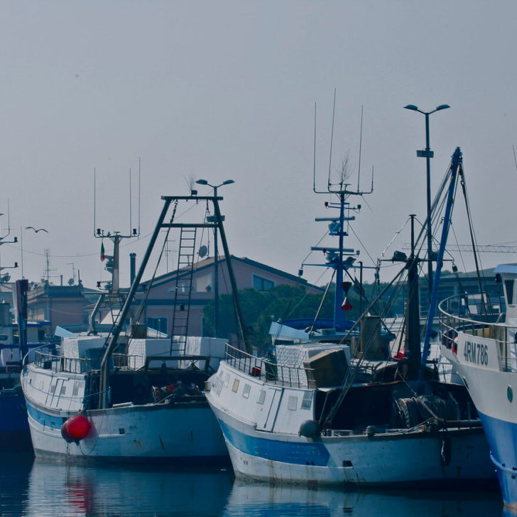 pesca@ComuneCesenatico(4)