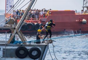 La Romagnola Soc. Coop.: La cozza selvatica di marina di Ravenna