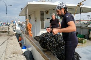 domenica 27 giugno a Marina di Ravenna "dal mare alla tavola: le opportunità di pesca sostenibile e consumo consapevole delle cozze"