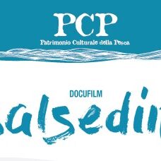 salsedine-PCP