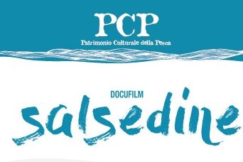 salsedine-PCP