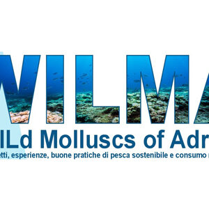 wilma3