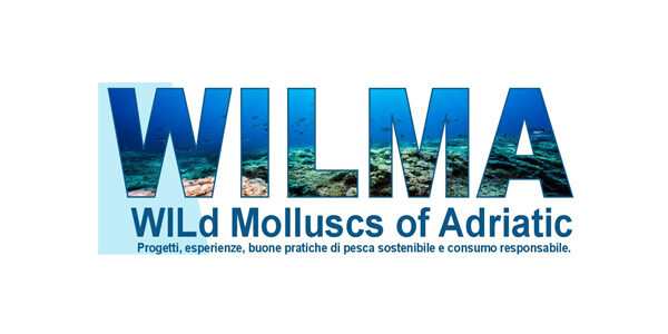 wilma3